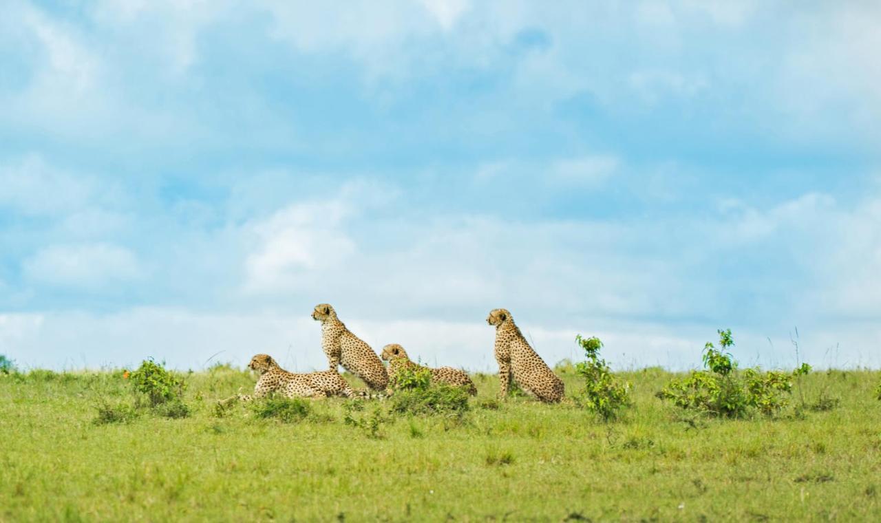 Saruni Eagle View Hotel Naboisho Buitenkant foto