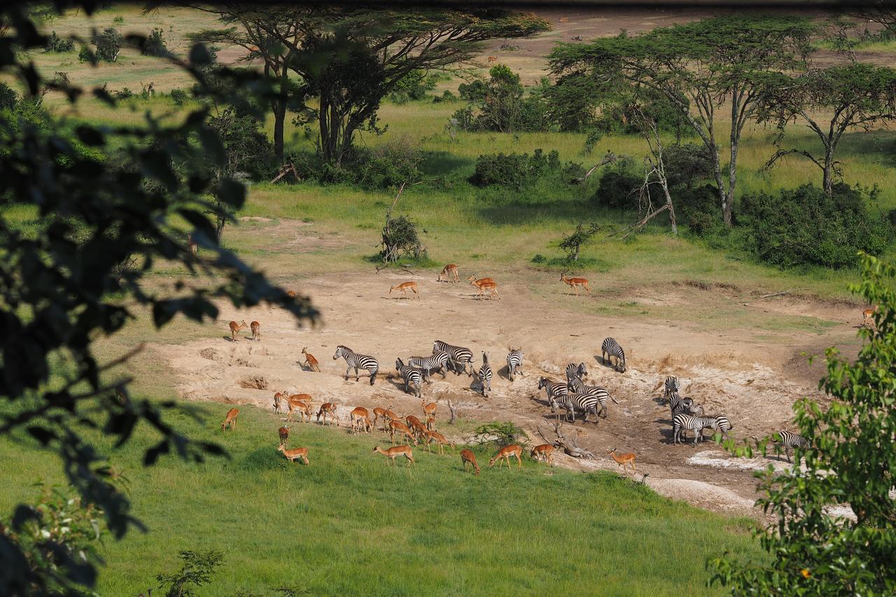 Saruni Eagle View Hotel Naboisho Buitenkant foto