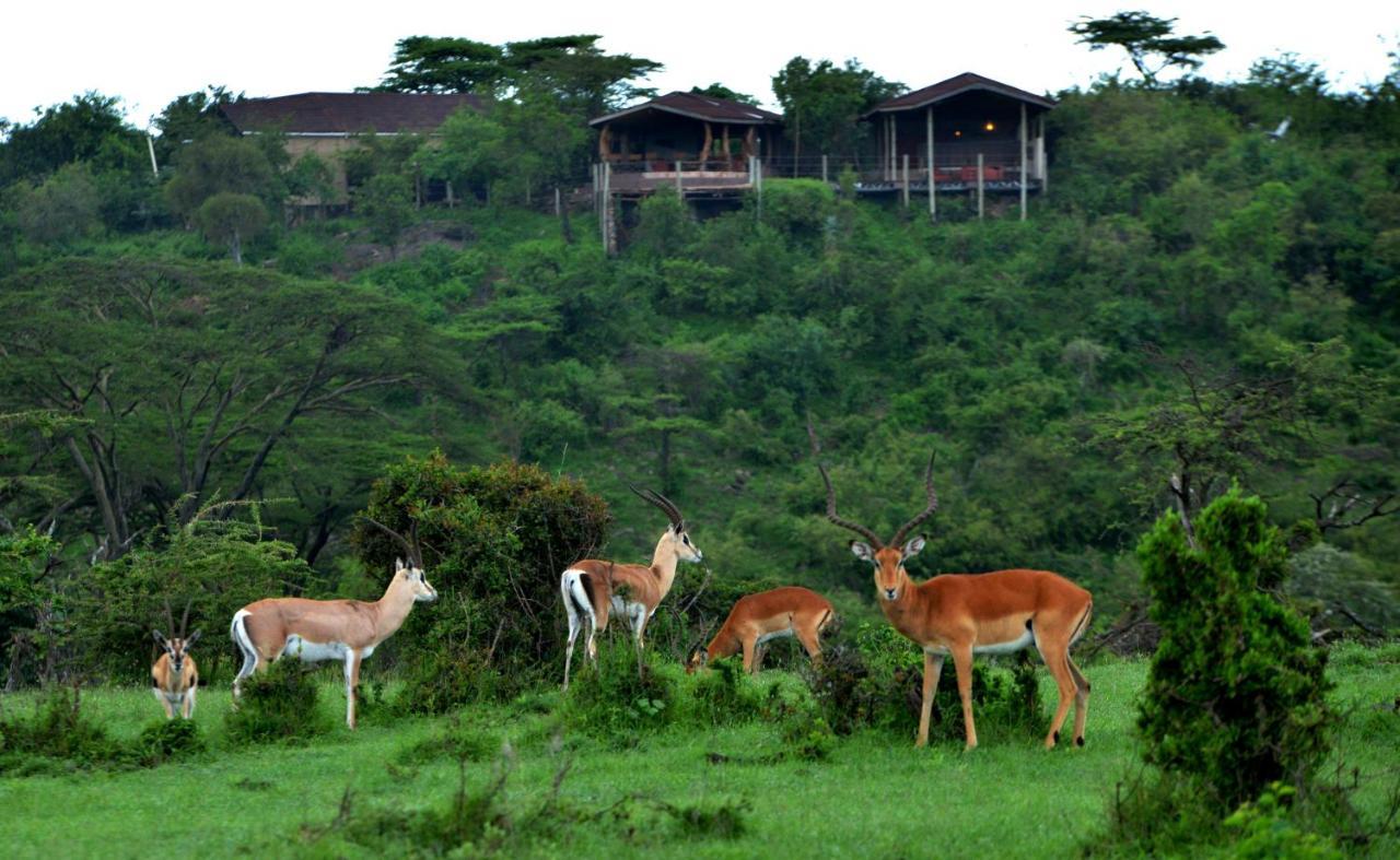 Saruni Eagle View Hotel Naboisho Buitenkant foto